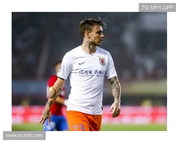 波兰足协接触混血新星霍尔归化